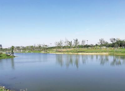 小龍山公園
