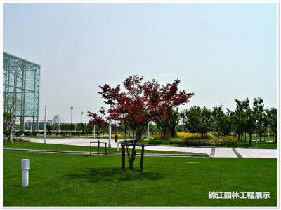 科學(xué)園管委會(huì)大樓