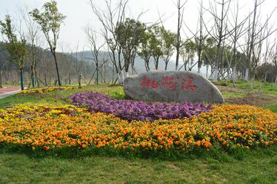 桃花溪