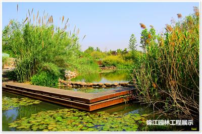 大學(xué)城生態(tài)公園